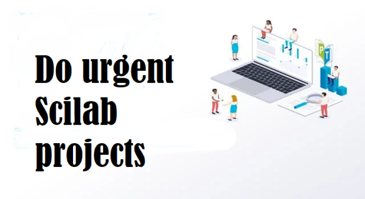 Do urgent Scilab project