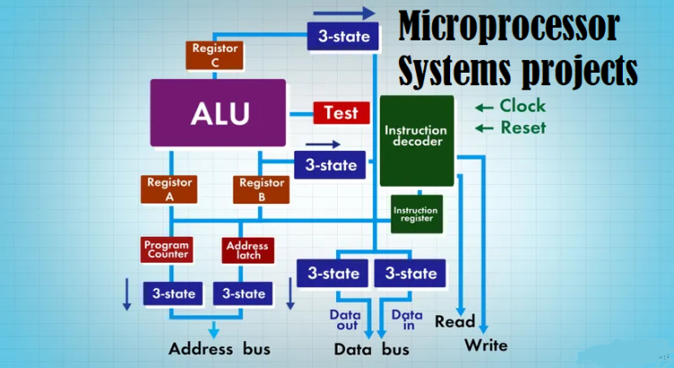 Do Microprocessor Systems projects