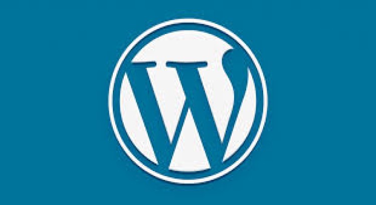 I will do anything on wordpress website